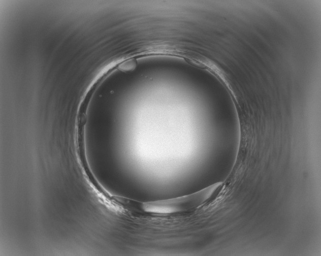 X0000059071147200510071101