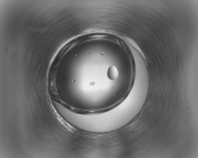 X0000059071148200510071101