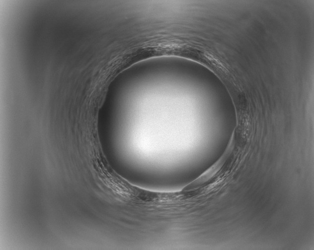 X0000059071153200510071101