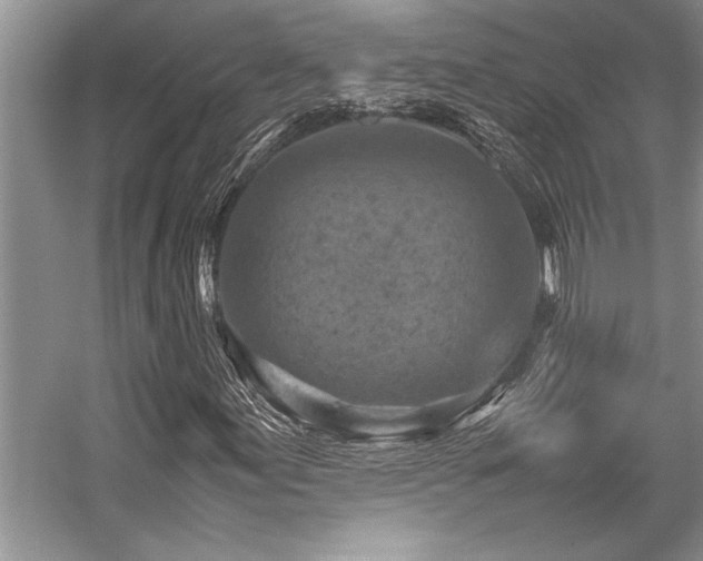 X0000059071155200510071101
