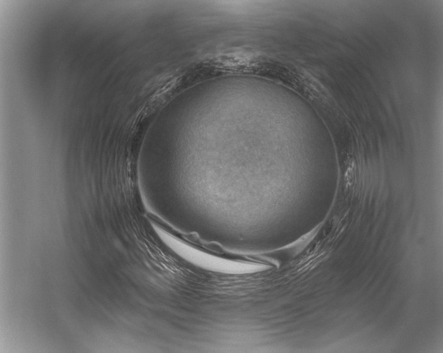 X0000059071156200510071101