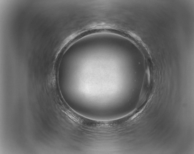 X0000059071167200510071100