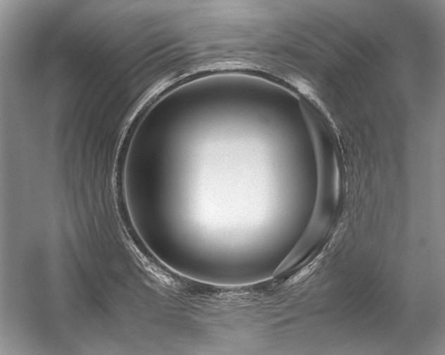 X0000059071181200510071100
