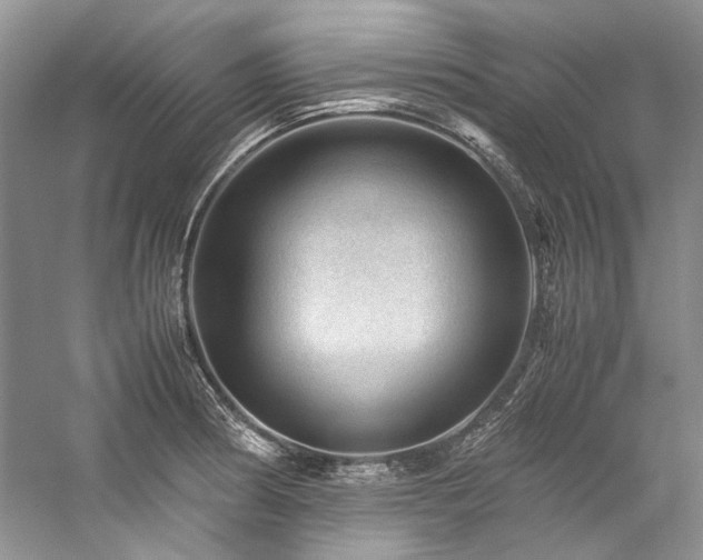 X0000059071186200510071100