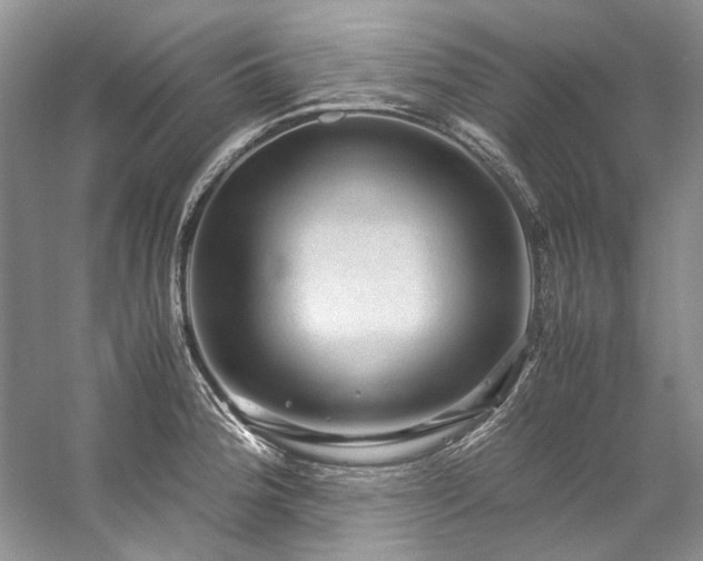 X0000059071188200510071100