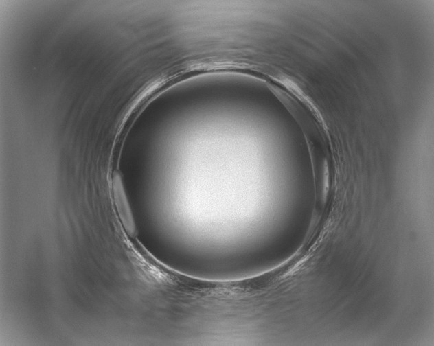 X0000059071189200510071100