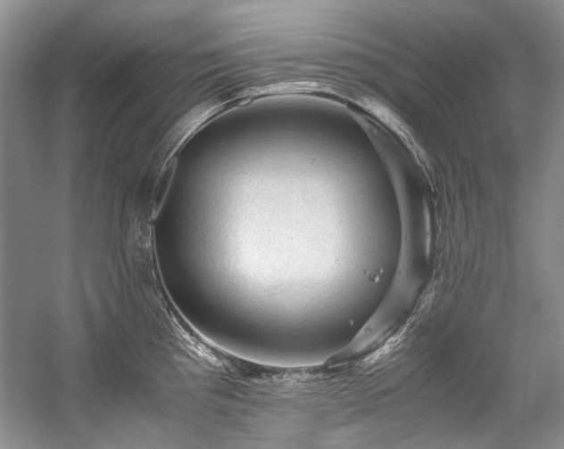 X0000059071193200510071100