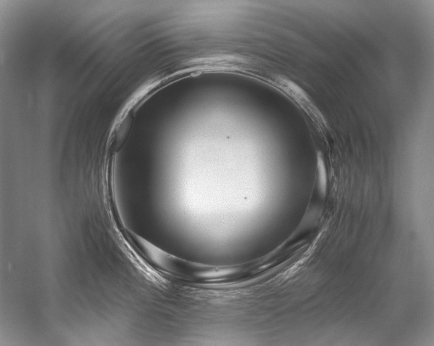 X0000059071196200510071100