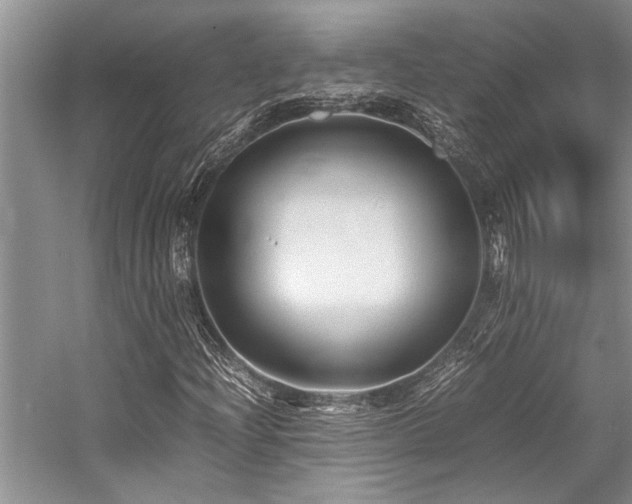X0000059071204200510071059