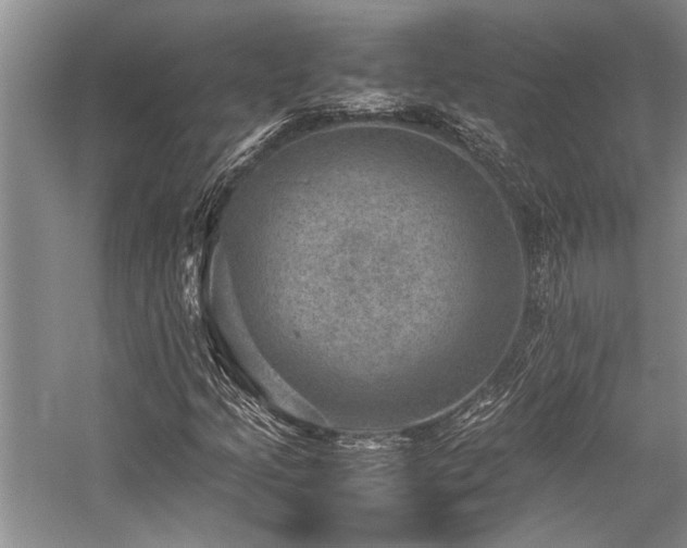 X0000059071205200510071059