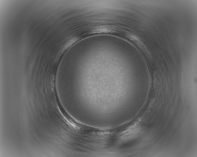 X0000059071233200510071100