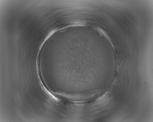 X0000059071243200510071100