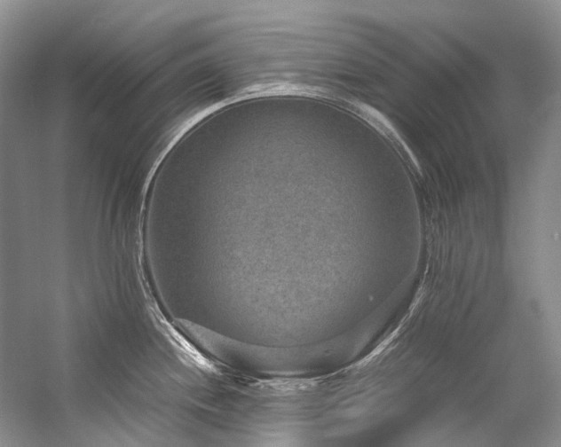 X0000059071244200510071100