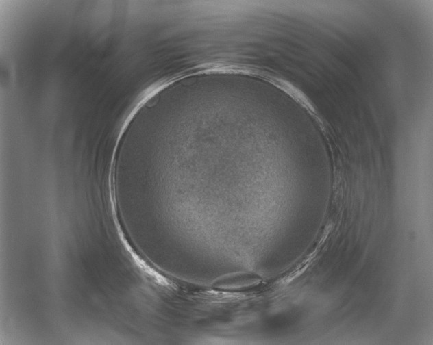 X0000059071247200510071100