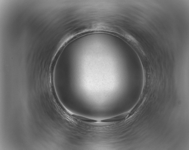X0000059071280200510071059