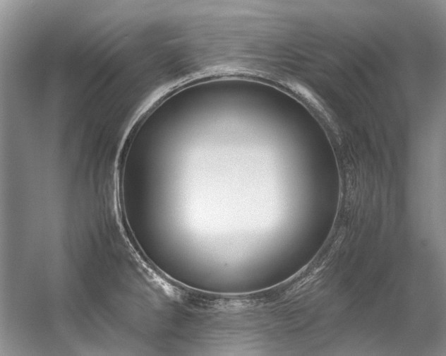 X0000059071286200510071058
