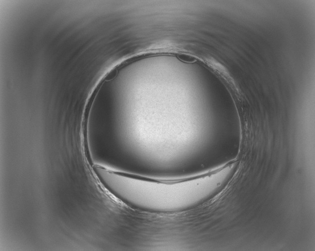 X0000059071288200510071058