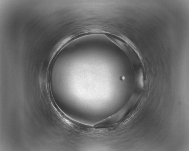 X0000059071293200510071058