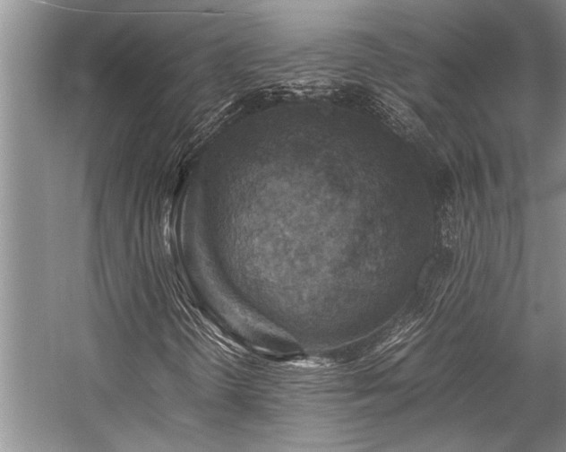X0000059071298200510071057