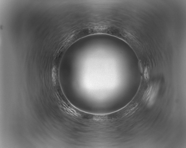 X0000059071299200510071057