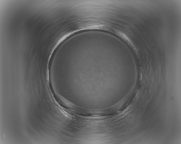 X0000059071324200510071058