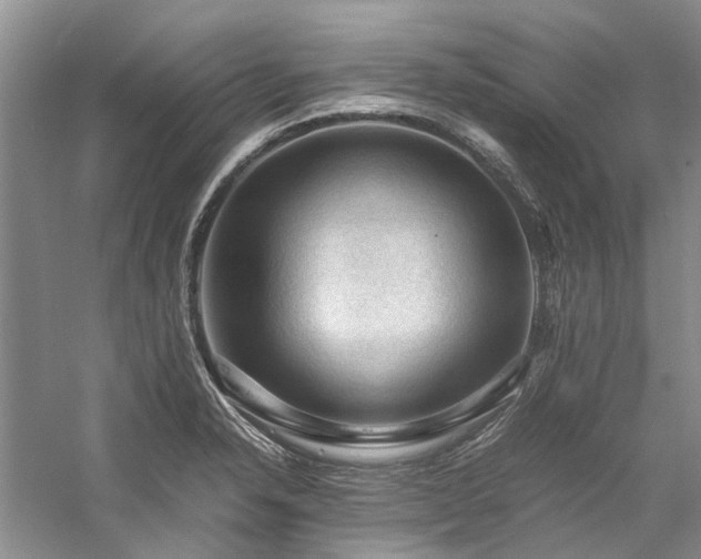 X0000059071326200510071058