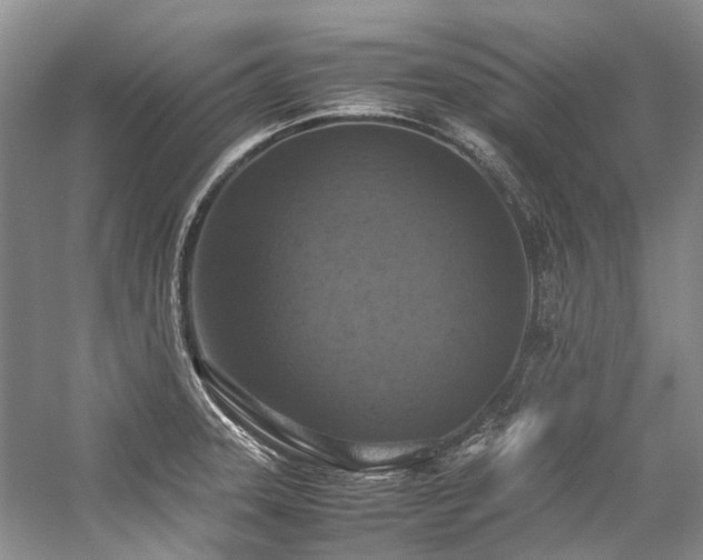 X0000059071331200510071058