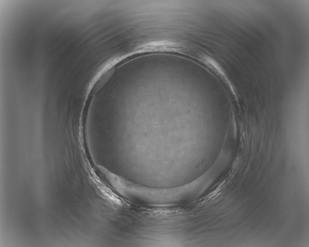 X0000059071336200510071058