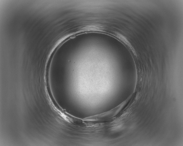 X0000059071339200510071058