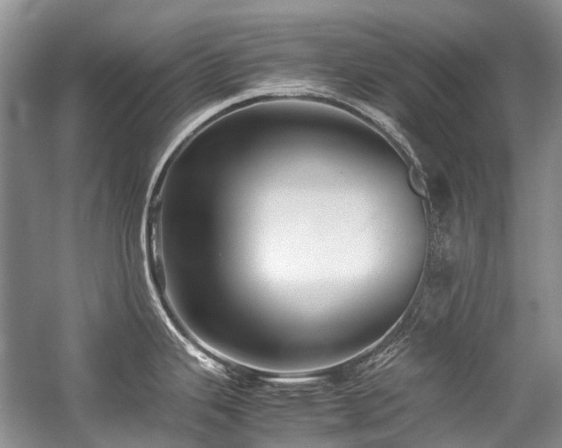 X0000059071343200510071058