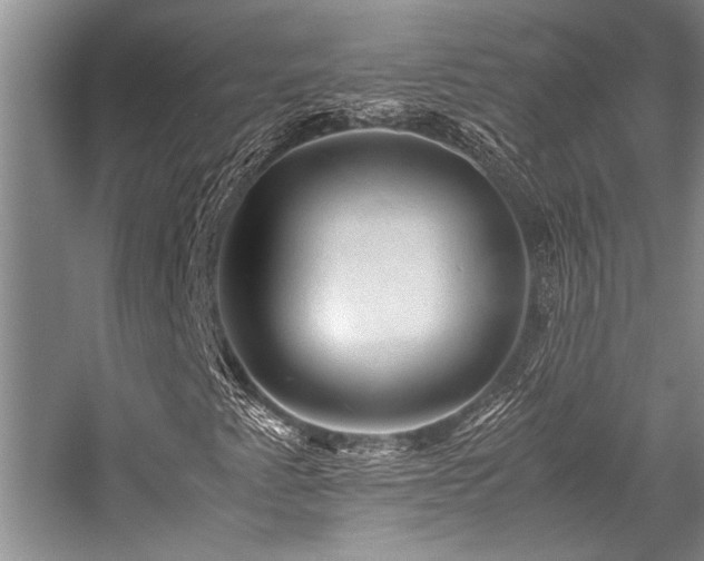 X0000059071345200510071057