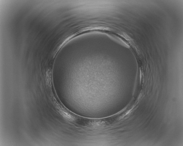 X0000059071369200510071057