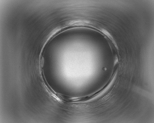 X0000059071384200510071057