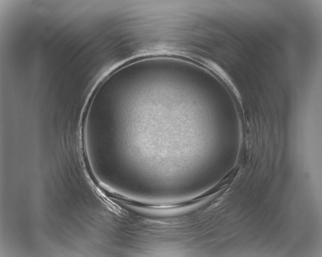 X0000059071388200510071057