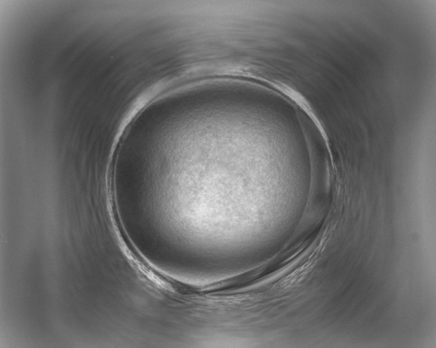 X0000059071389200510071057
