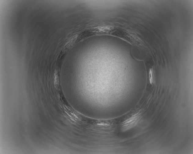 X0000059071395200510071056