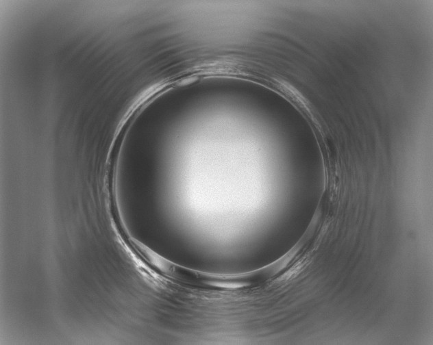 X0000059071434200510071056