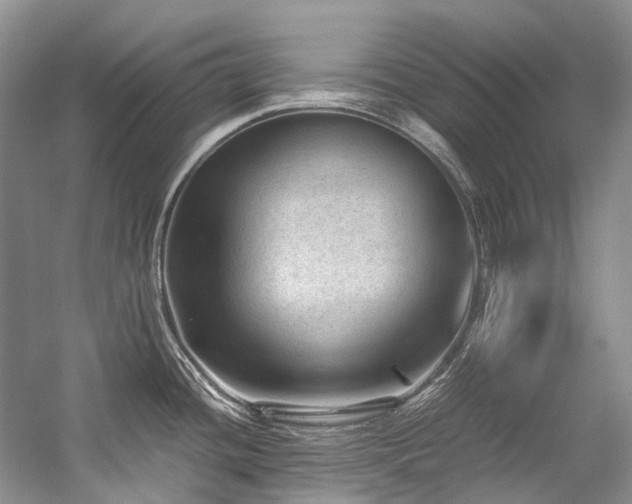 X0000059071436200510071057