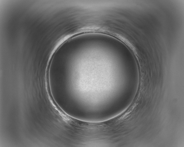 X0000059071440200510071057