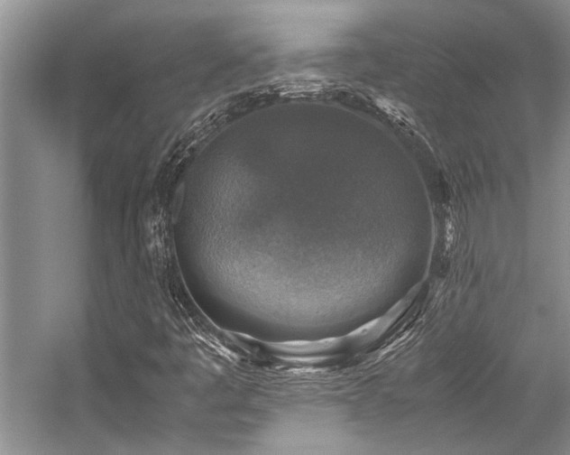 X0000059071445200510071056