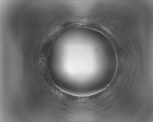 X0000059071447200510071056