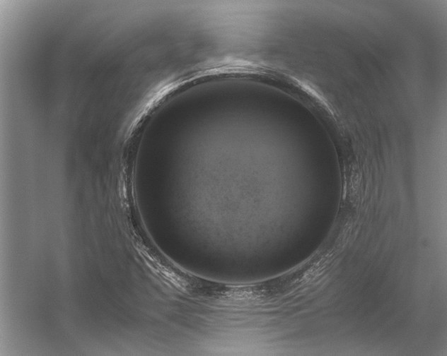 X0000059071455200510071056
