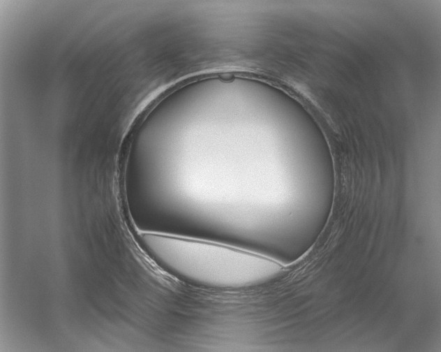 X0000059071460200510071055