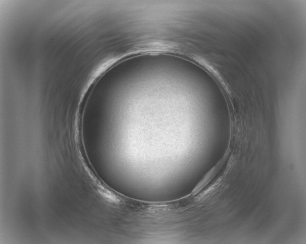 X0000059071477200510071055