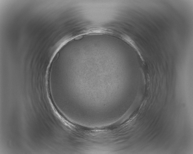 X0000059071483200510071055
