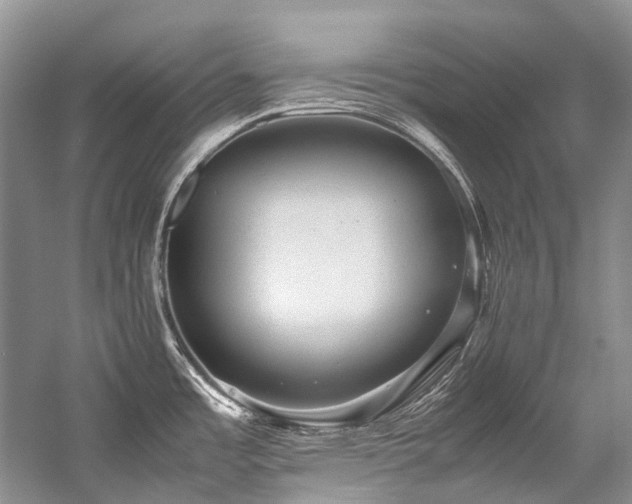 X0000059071485200510071055