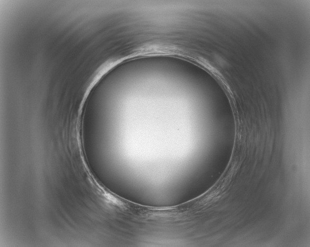 X0000059071486200510071055