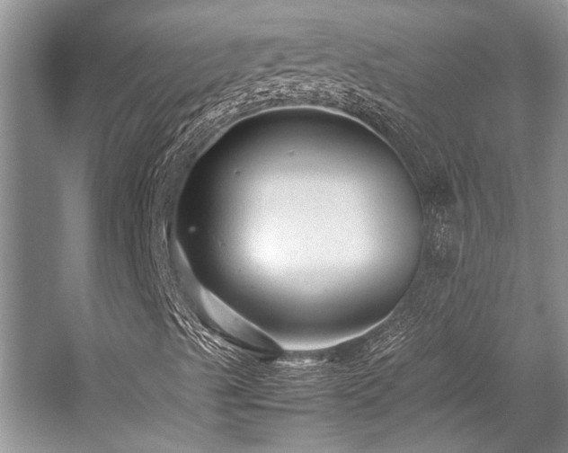 X0000059071489200510071054