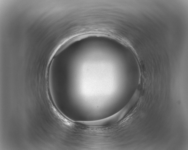 X0000059071532200510071055