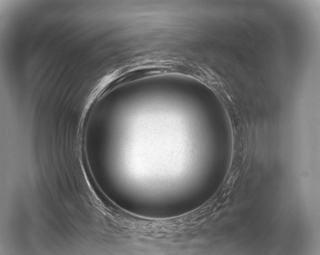 X0000059070003200510101103